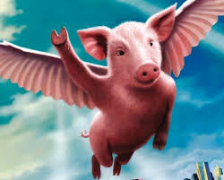 pigs-flying